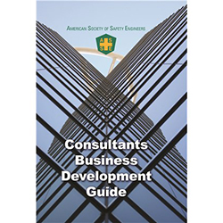 Consultants Business Development Guide - Print Version