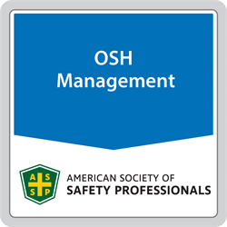ANSI/ASSP Z10.0 - 2019 Occupational Health and Safety Management Systems (digital only)