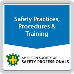 ANSI/ASSP Z490.2-2019 Accepted Practices for E-Learning in Safety, Health and Environmental Training (digital only) 