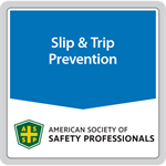ANSI/ASSP A1264.2-2022 Reducing Slip Missteps on Walking-Working Surfaces (digital only)